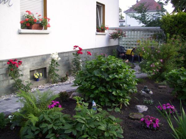 Hotel Pension Wiesenau Salzhausen Dış mekan fotoğraf